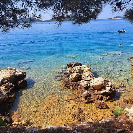 Apartment Arta 3 *