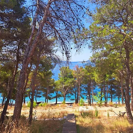 Apartment Arta 3 *